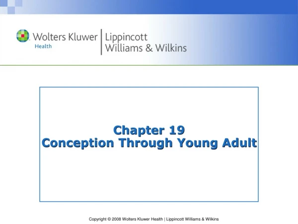 Chapter 19 Conception Through Young Adult