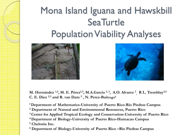 Mona Island Iguana and  Hawskbill SeaTurtle Population Viability Analyses