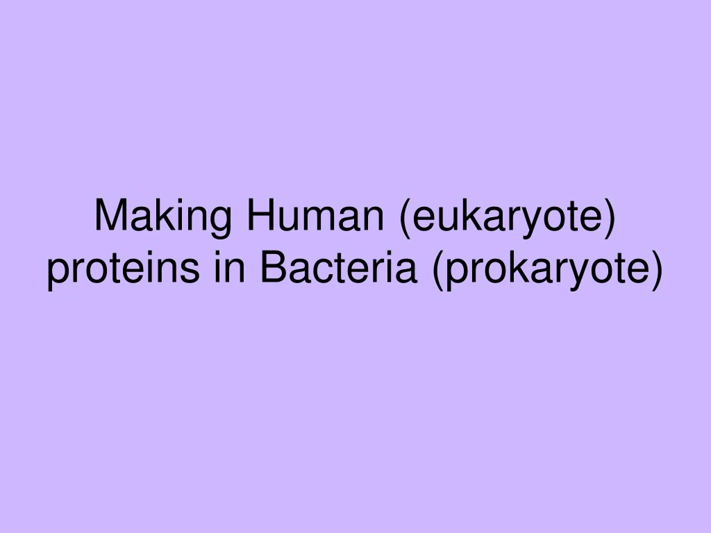 making human eukaryote proteins in bacteria prokaryote