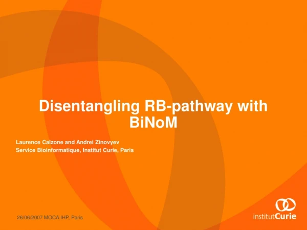 Disentangling RB-pathway with BiNoM