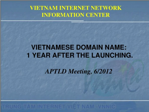 VIETNAMESE DOMAIN NAME:   1 YEAR AFTER THE LAUNCHING. APTLD Meeting, 6/2012
