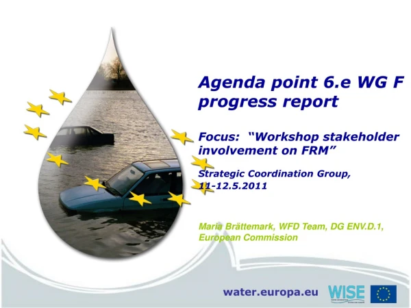 Agenda point 6.e WG F progress report Focus:  “Workshop stakeholder involvement on FRM”