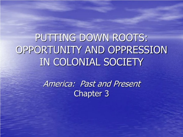 PUTTING DOWN ROOTS:  OPPORTUNITY AND OPPRESSION IN COLONIAL SOCIETY