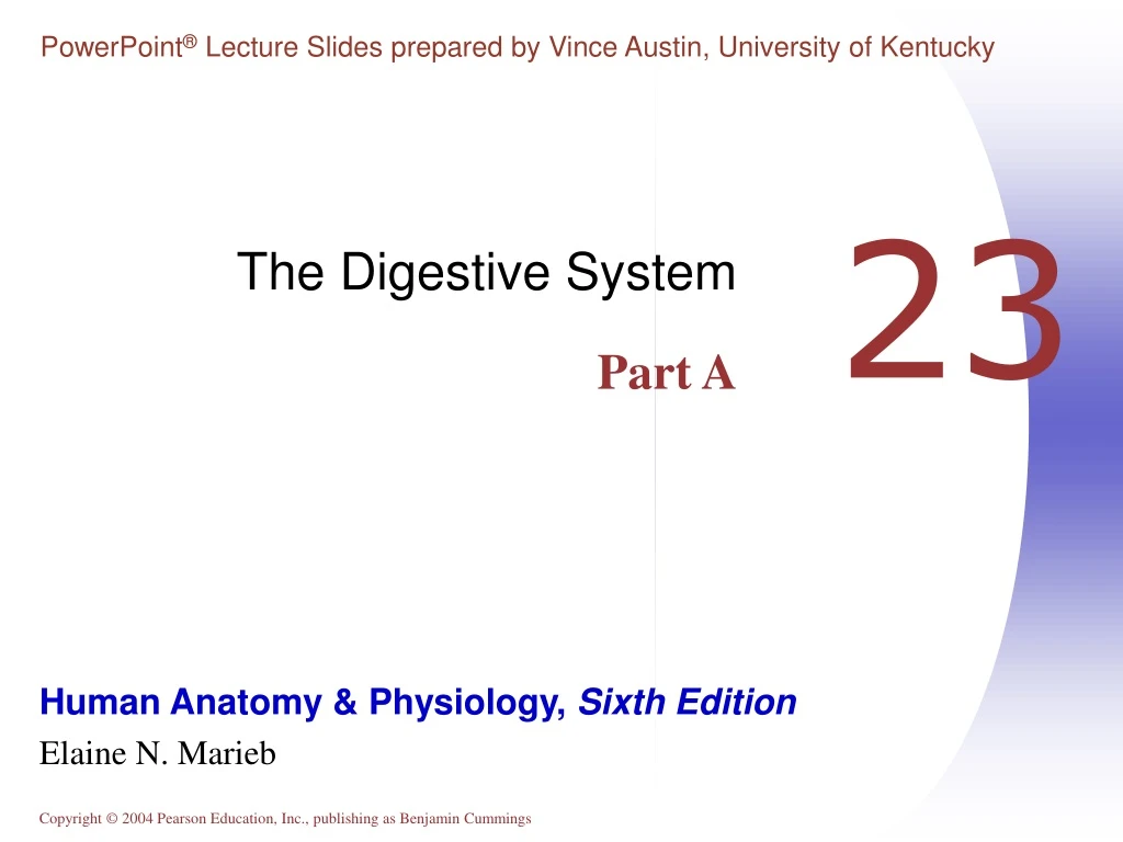 the digestive system part a