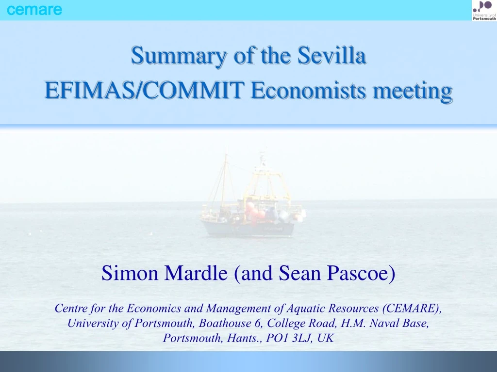 summary of the sevilla efimas commit economists meeting