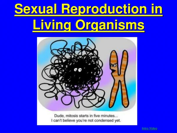 Sexual Reproduction in  Living Organisms