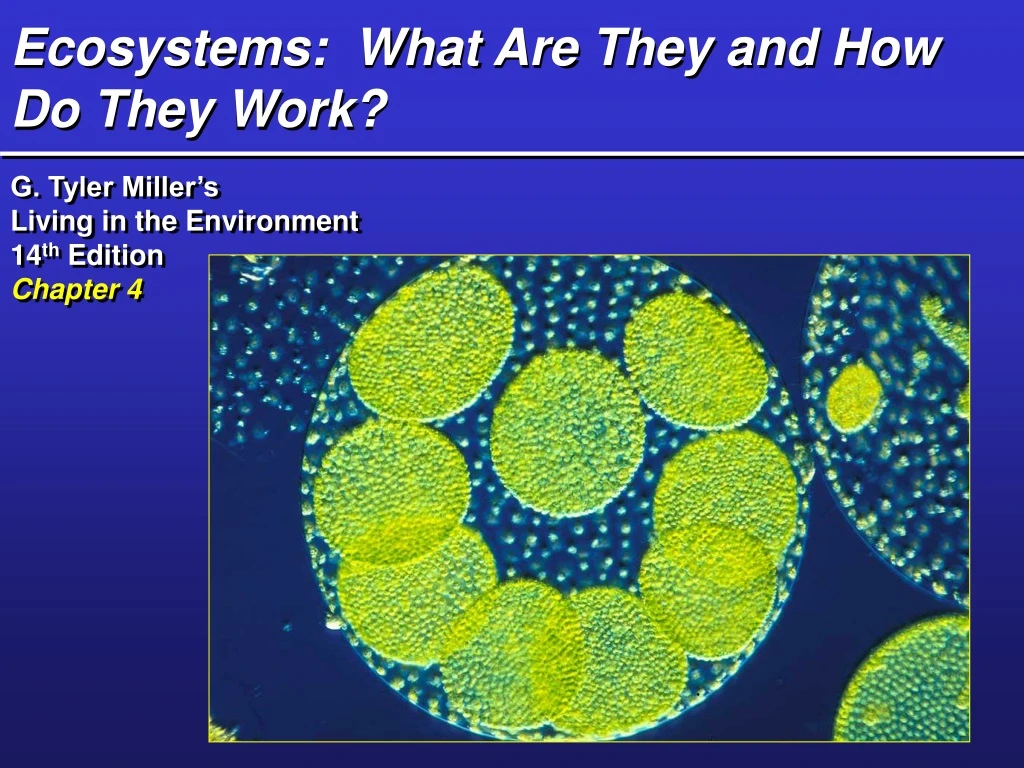 ecosystems what are they and how do they work