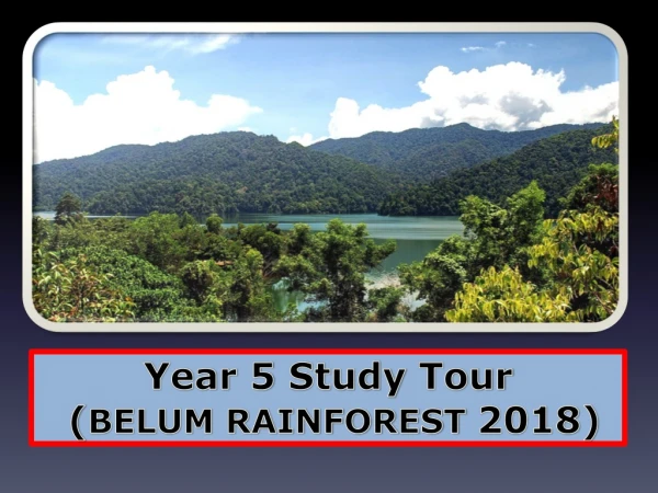 Year 5  Study  Tour  ( BELUM RAINFOREST  2018)