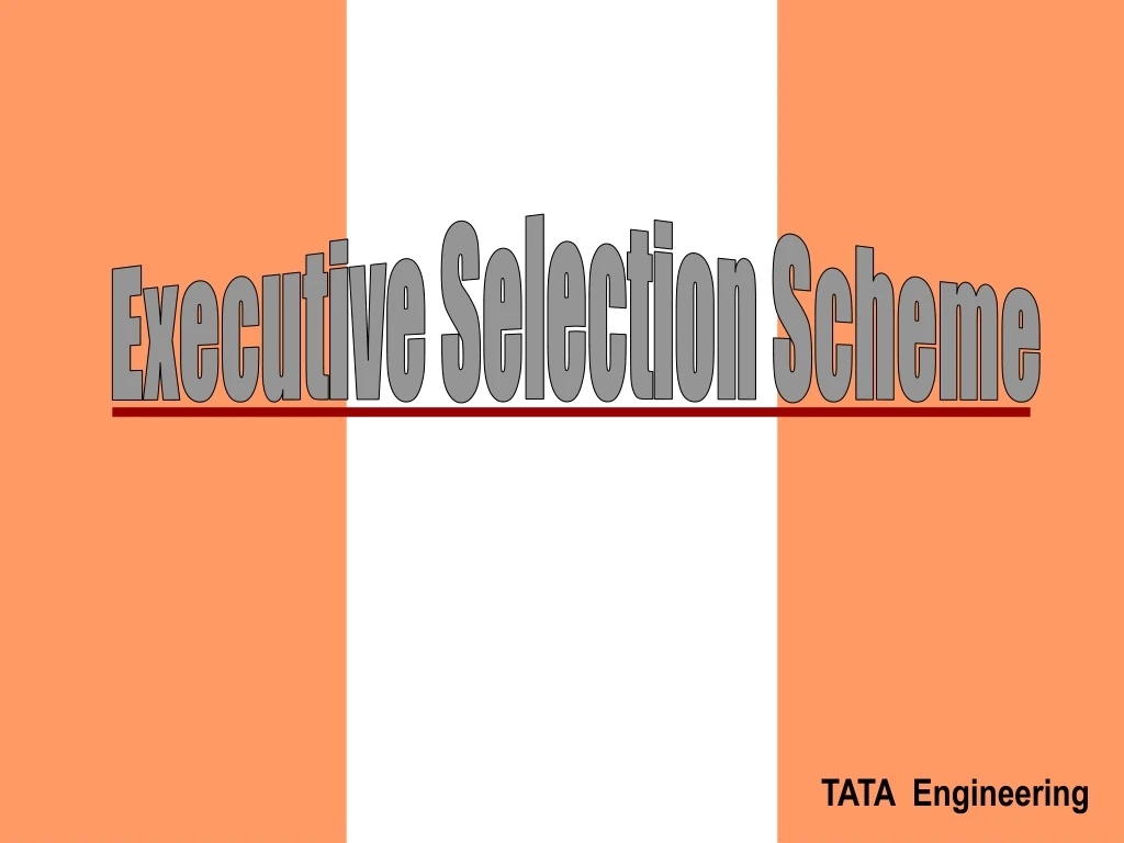 executive selection scheme