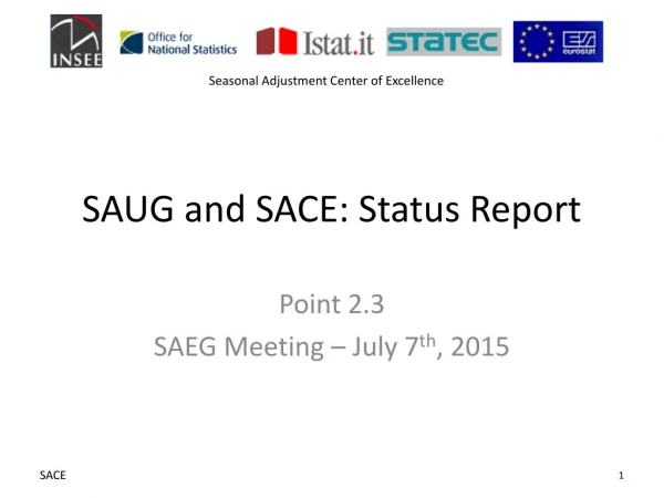 SAUG and SACE: Status Report