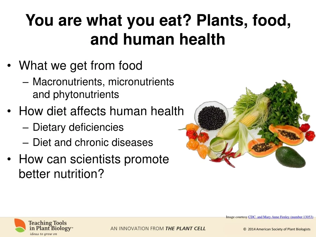 you are what you eat plants food and human health