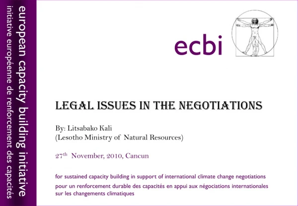 LEGAL ISSUES IN THE NEGOTIATIONS By:  Litsabako  Kali (Lesotho Ministry of Natural Resources)
