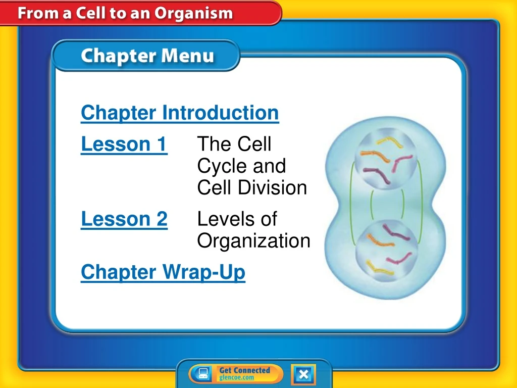 chapter menu