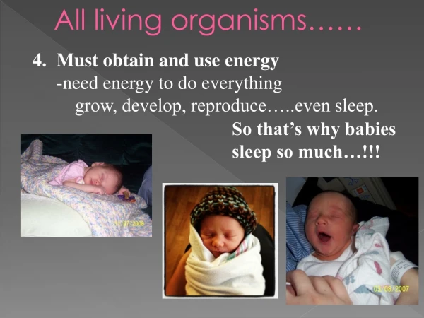 Must obtain and use energy 	-need energy to do everything 		grow, develop, reproduce…..even sleep.