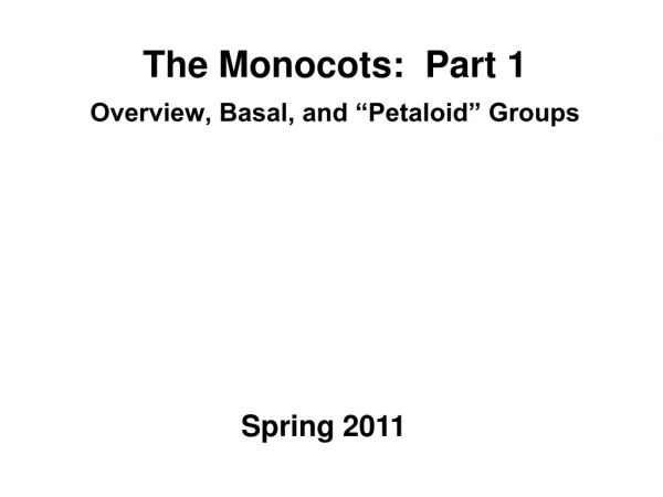 The Monocots:  Part 1 Overview, Basal, and “Petaloid” Groups