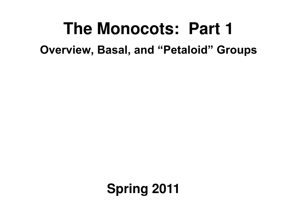 the monocots part 1 overview basal and petaloid groups