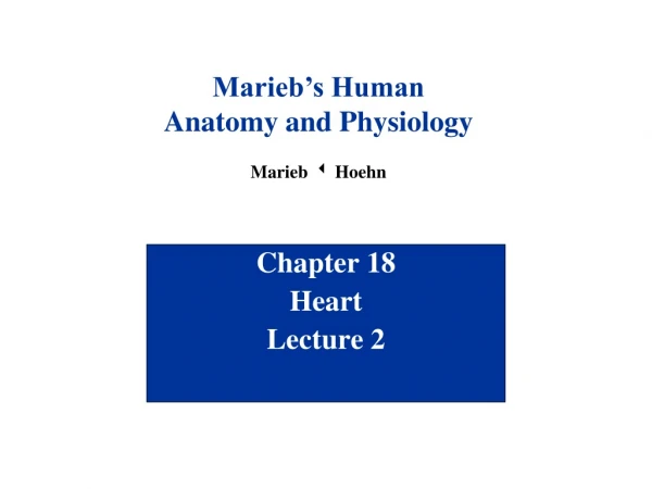 Chapter 18 Heart Lecture 2