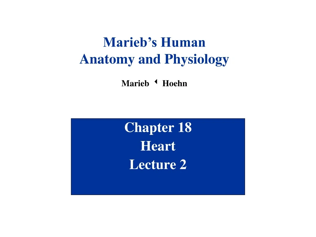 chapter 18 heart lecture 2