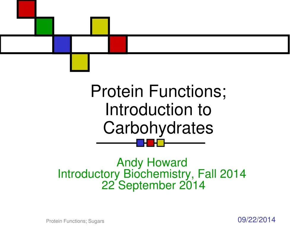 protein functions introduction to carbohydrates