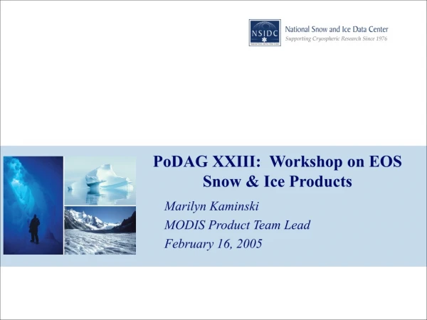 PoDAG XXIII:  Workshop on EOS Snow &amp; Ice Products