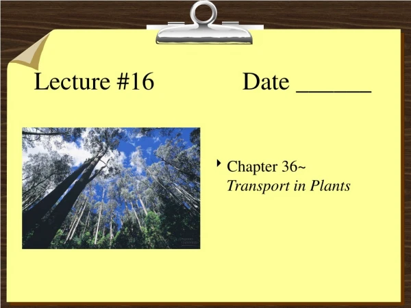 Lecture #16		       Date ______