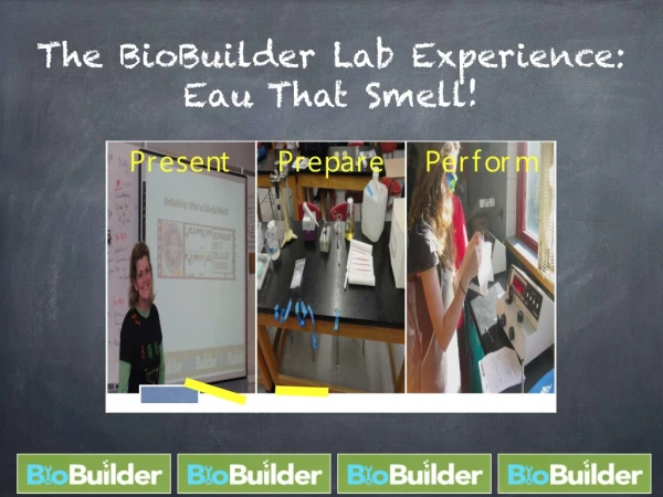 The BioBuilder Lab Experience: Eau That Smell!
