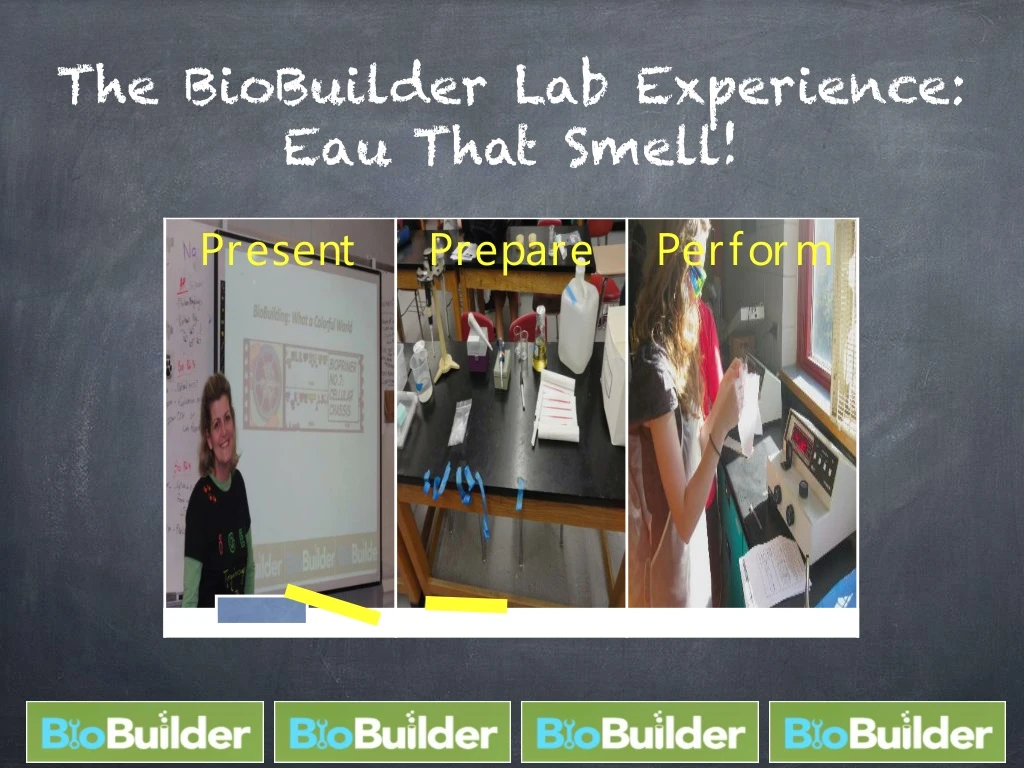 the biobuilder lab experience eau that smell