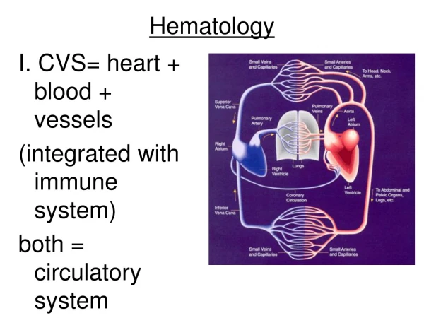 Hematology