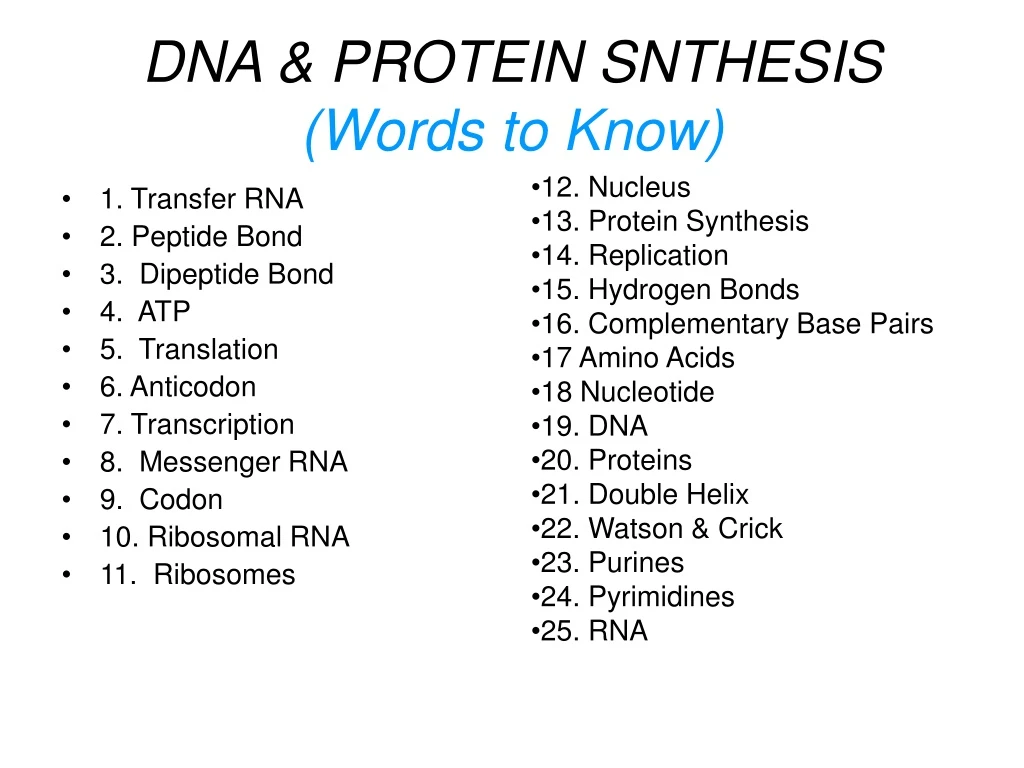 dna protein snthesis words to know