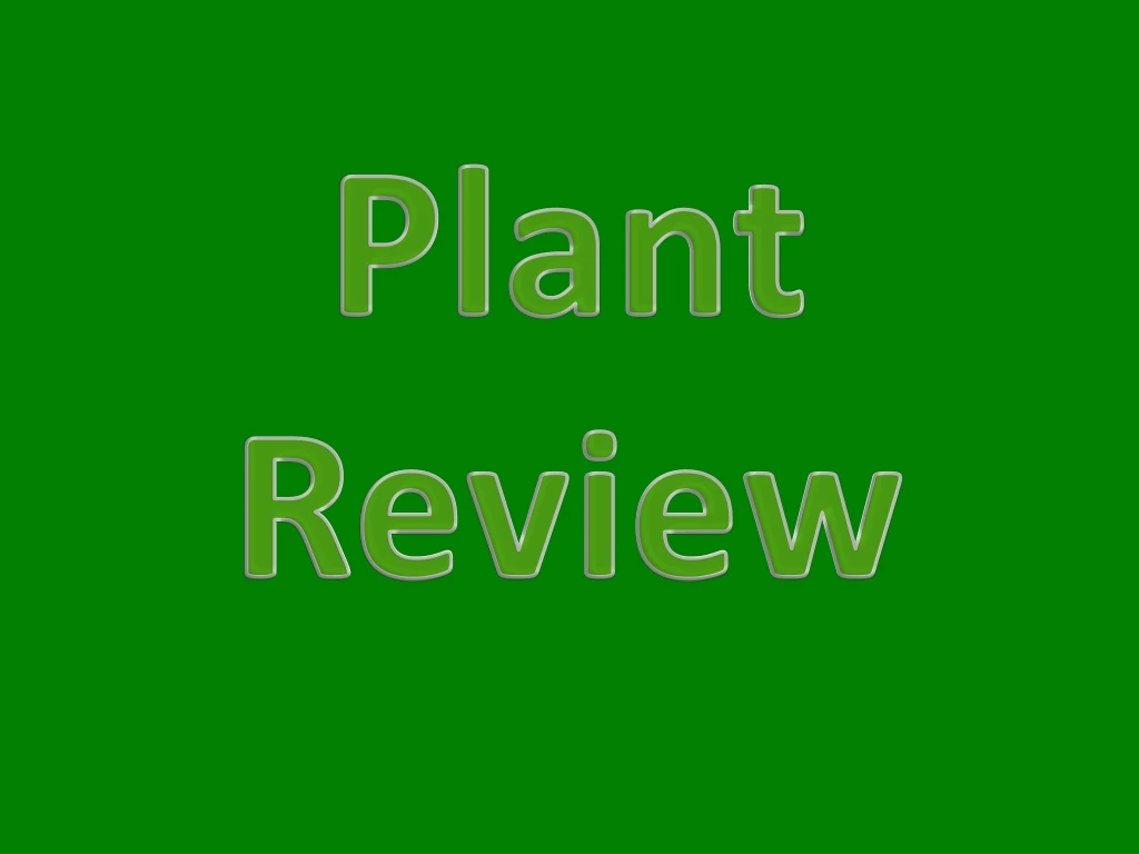 plant review