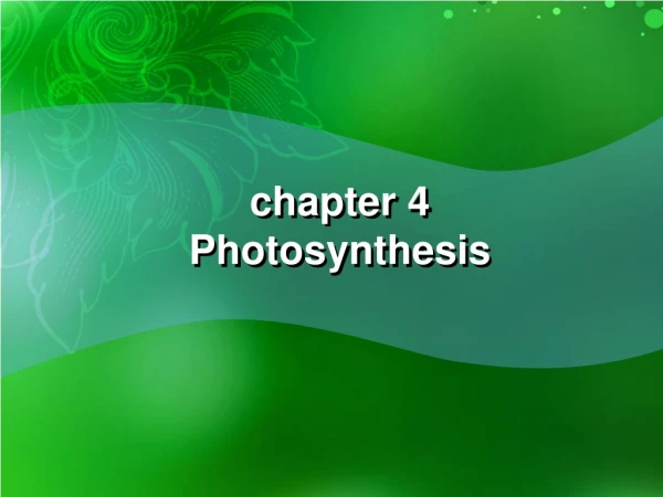 chapter 4 Photosynthesis