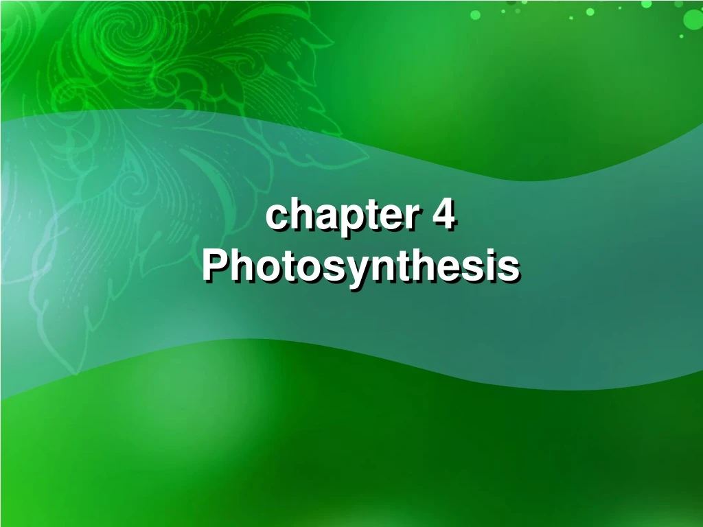 chapter 4 photosynthesis