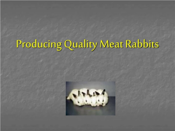 Producing Quality Meat Rabbits
