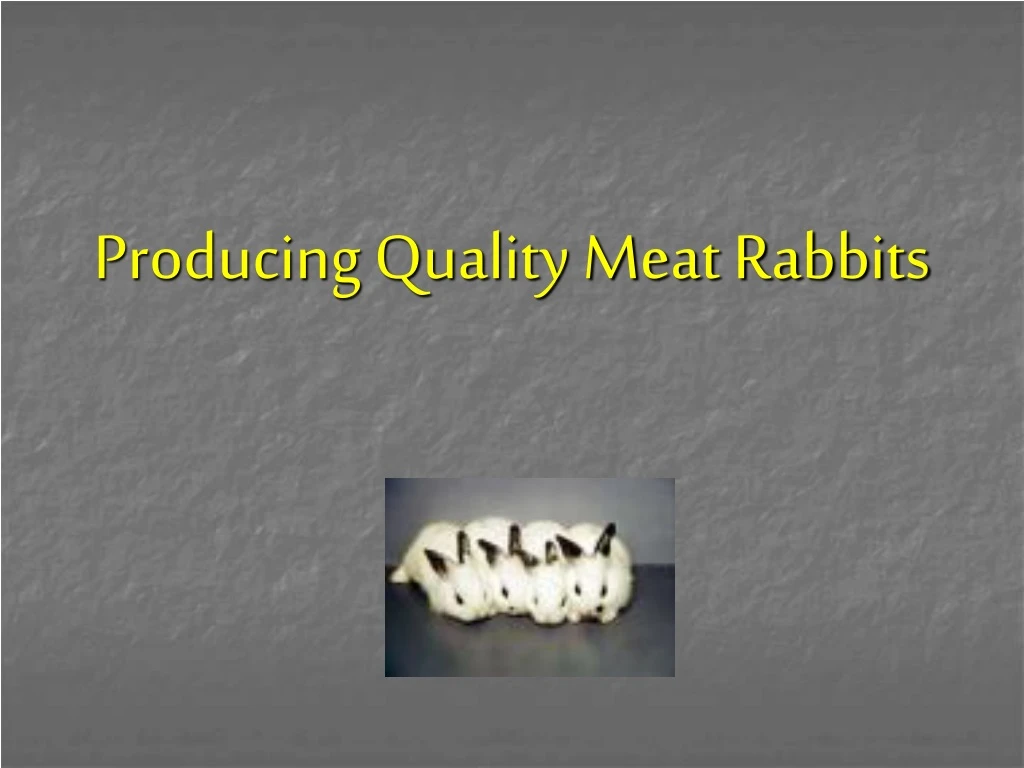 producing quality meat rabbits