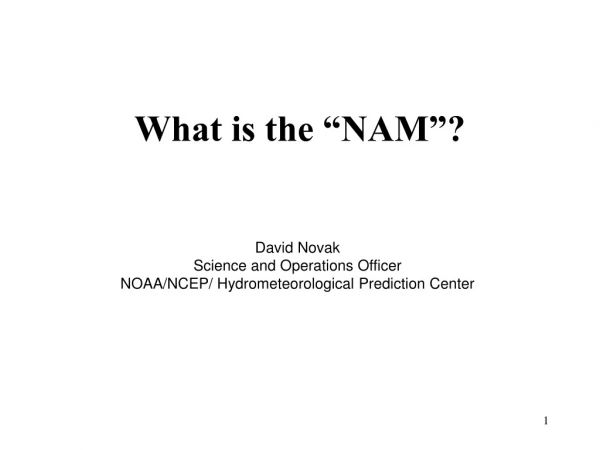 What is the “NAM”?