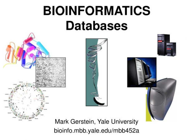 BIOINFORMATICS Databases