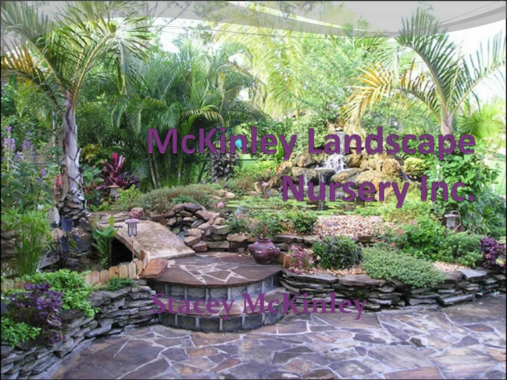 mckinley landscape nursery inc