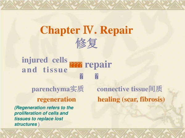 Chapter Ⅳ. Repair 修复