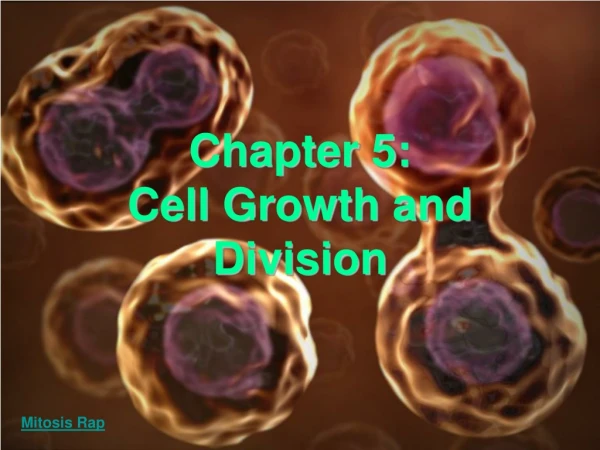 Chapter 5: Cell Growth and Division