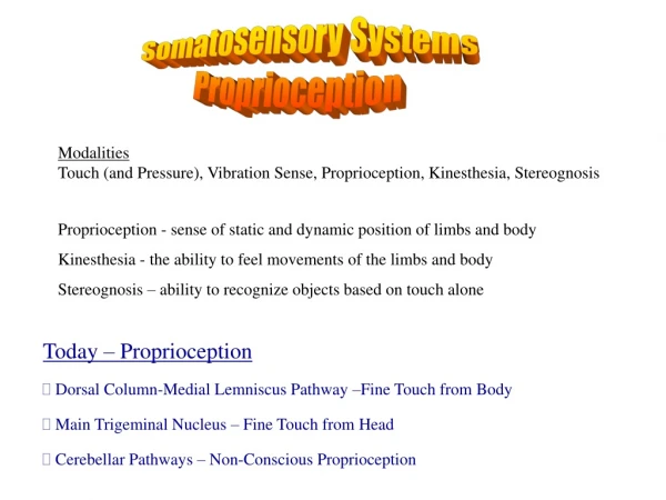 Somatosensory Systems Proprioception
