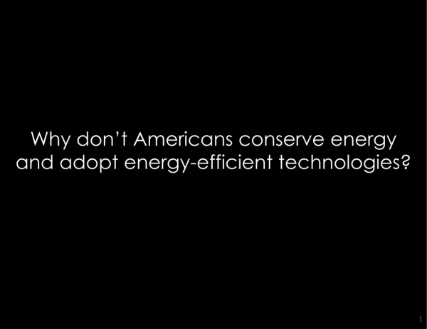 Why don’t Americans conserve energy and adopt energy-efficient technologies?