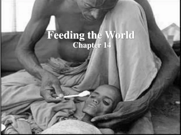 Feeding the World