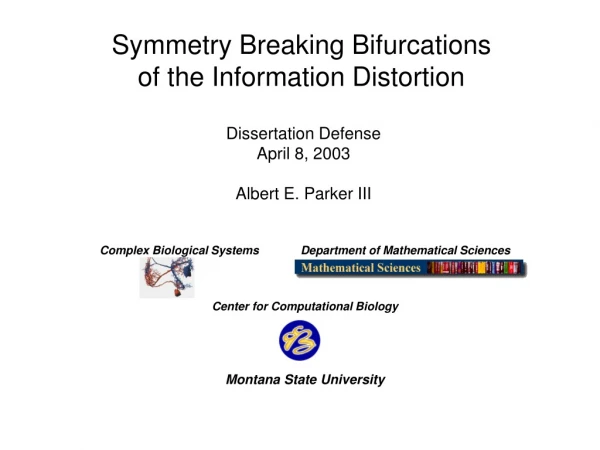 Symmetry Breaking Bifurcations of the Information Distortion