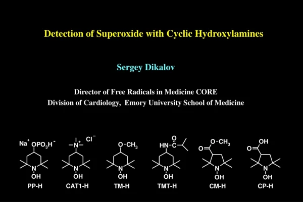 Sergey Dikalov Director of Free Radicals in Medicine CORE