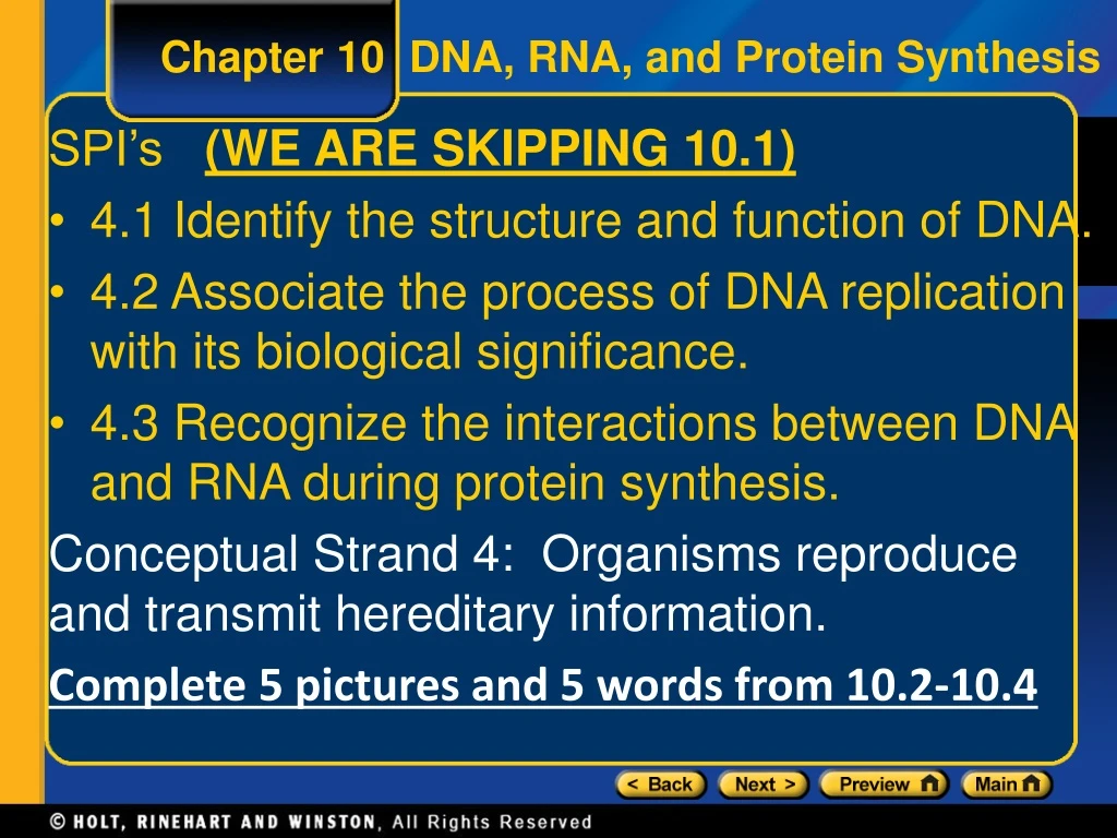 chapter 10 dna rna and protein synthesis