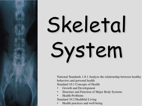 Skeletal System