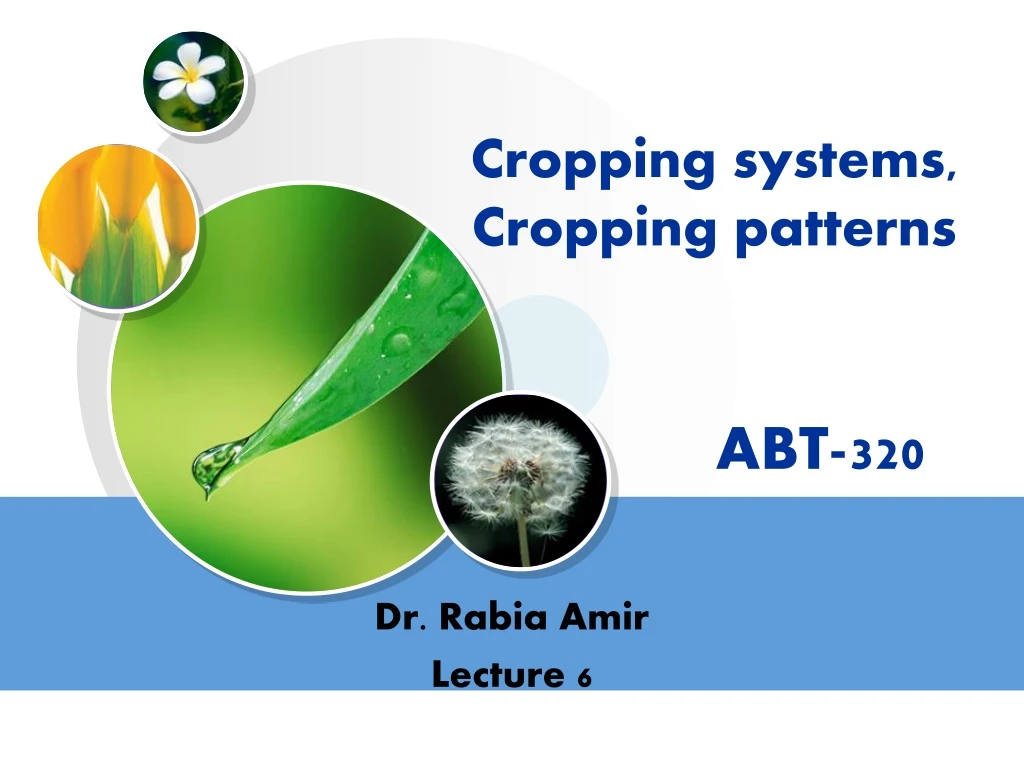 cropping systems cropping patterns abt 320
