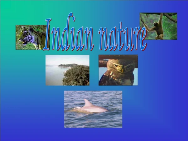 Indian nature