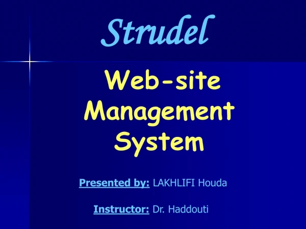 Web-site Management System