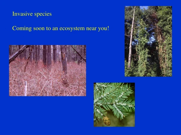 Invasive species Coming soon to an ecosystem near you!
